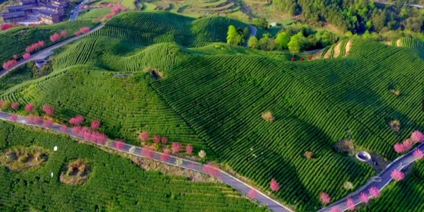 貴陽市建筑設(shè)計院帶你秒懂全域土地綜合整治