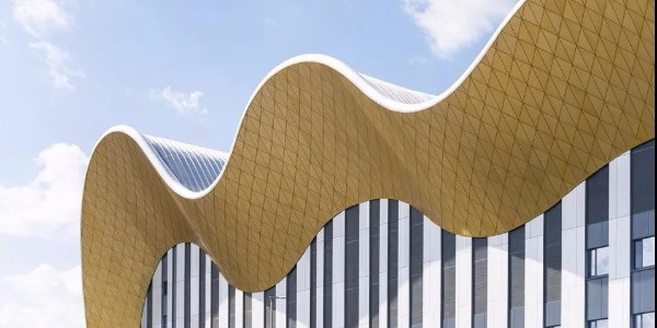 所有圖紙合成一個“超模型”，莫斯科藝術(shù)體操中心設(shè)計(jì)BIM解析