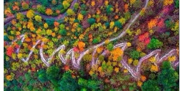 鄉(xiāng)村振興需避免這15個(gè)雷區(qū)！