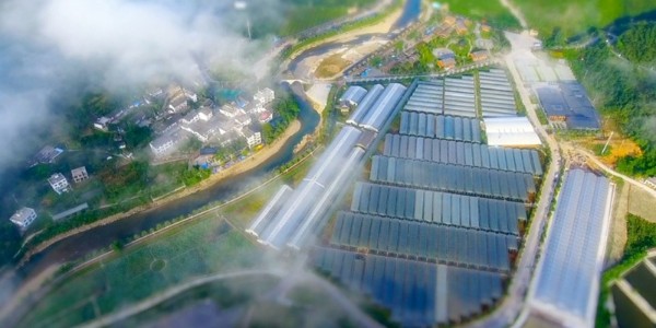 金融活水潤澤“希望田野”｜農(nóng)發(fā)行精準(zhǔn)信貸賦能，貴陽市建筑設(shè)計院全域土地整治項(xiàng)目前景廣闊