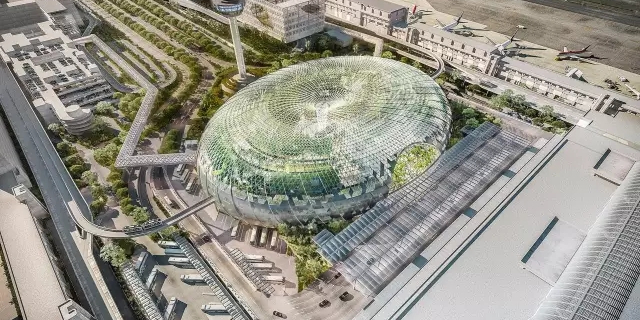 在飛機場里造了個森林，從此再也不怕飛機晚點~