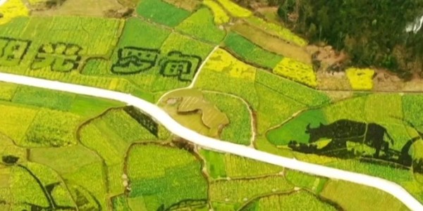 土地的涅槃｜全域土地綜合整治為何爆火？設(shè)計(jì)院如何搶占風(fēng)口？