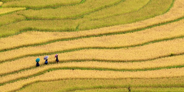 貴陽(yáng)市建筑設(shè)計(jì)院助力內(nèi)江市市中區(qū)全域土地綜合整治，共繪鄉(xiāng)村振興新藍(lán)圖