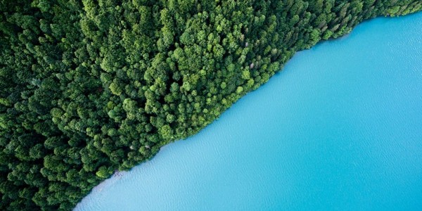 02|碳中和的機遇在哪？