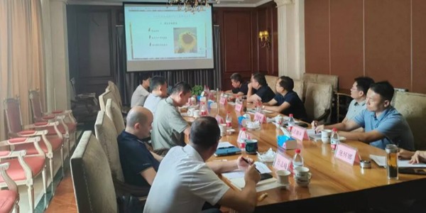 邢臺(tái)市新河縣人民政府縣長(zhǎng)程玉峰一行蒞臨盛鵬達(dá)公司指導(dǎo)工作，共謀合作新篇章