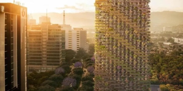 這才叫綠色建筑！用木頭代替鋼筋水泥，30000多植物栽在陽臺！